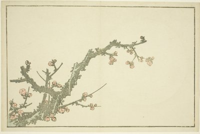 Bloeiende pruimenboom, uit Het prentenboek van realistische schilderijen van Hokusai (Hokusai shashin gafu), c.1814 door Katsushika Hokusai