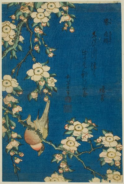 Goudvink en treurkers (Uso, shidarezakura), uit een serie bloemen en vogels zonder titel door Katsushika Hokusai