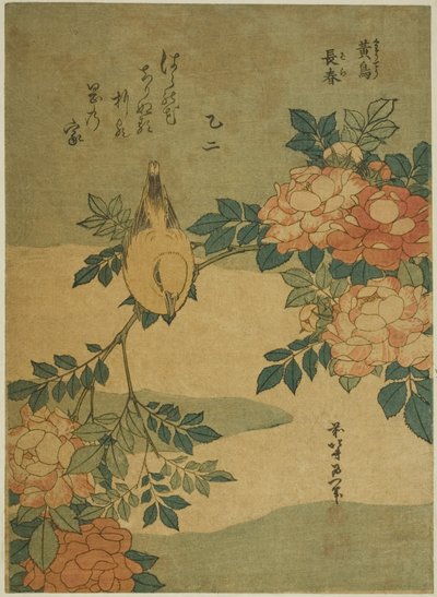 Bush Warbler en Roos, uit een ongetitelde serie van bloemen en vogels door Katsushika Hokusai