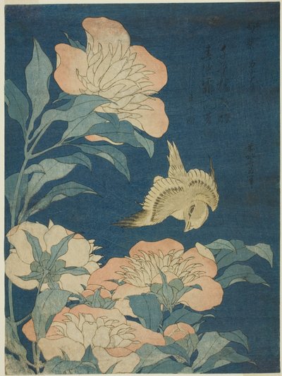 Kanarie en pioenroos (Kanaari, shakuyaku), uit een ongetitelde serie bloemen en vogels door Katsushika Hokusai