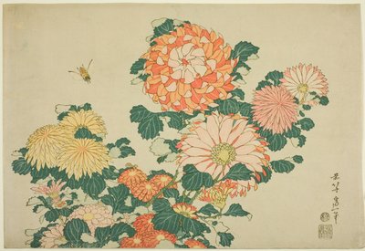 Chrysanten en bij, uit een ongetitelde serie van grote bloemen door Katsushika Hokusai