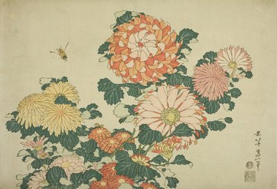 Chrysanten en bij, uit een ongetitelde serie van grote bloemen, ca.1833-34 door Katsushika Hokusai
