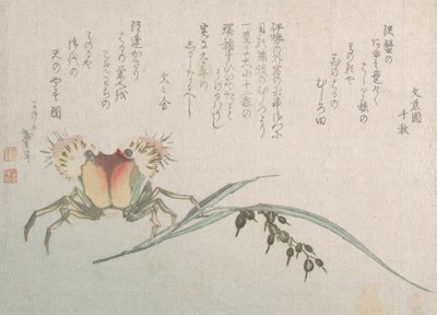 Krab en rijstplant, 19e eeuw door Katsushika Hokusai