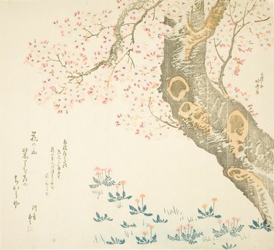 Paardenbloemen en klavers onder kersenboom door Katsushika Hokusai