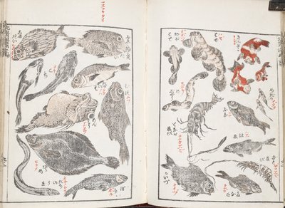 Vissen en zeedieren door Katsushika Hokusai