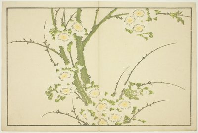 Bloemen, uit Het prentenboek van realistische schilderijen van Hokusai (Hokusai shashin gafu) door Katsushika Hokusai