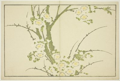 Bloemen, uit Het Prentenboek van Realistische Schilderijen van Hokusai (Hokusai shashin gafu), ca. 1814 door Katsushika Hokusai