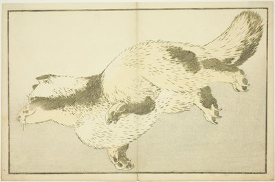Vos, uit Het Prentenboek van Realistische Schilderijen van Hokusai door Katsushika Hokusai