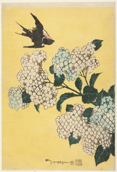 Hortensia en Zwaluw, uit een ongetitelde serie van grote bloemen door Katsushika Hokusai