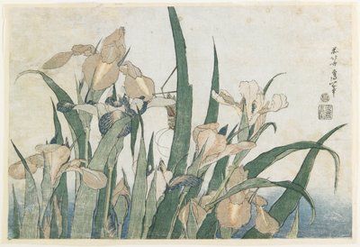 Irisbloemen en sprinkhaan, ca. 1830-31 door Katsushika Hokusai