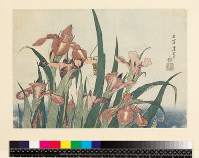 Iris en sprinkhaan, uitgegeven door Nishimura Eijudo, c.1832 door Katsushika Hokusai