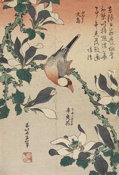 Java Mus en Magnolia, c. 1832 door Katsushika Hokusai