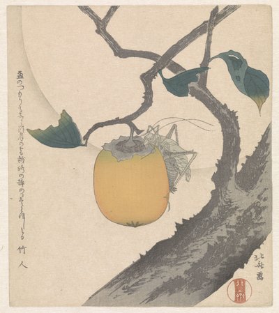 Kakivrucht met sprinkhaan door Katsushika Hokusai