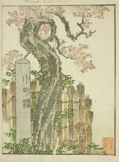 Komachi Kersenboom (Komachi zakura), uit het geïllustreerde boek "Prentenboek van Amusementen van het Oosten (Ehon Azuma asobi)" door Katsushika Hokusai