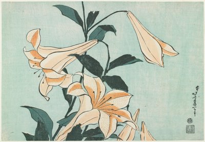 Lelies door Katsushika Hokusai