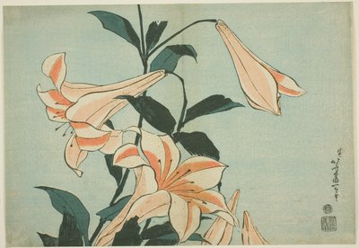 Lelies, uit een ongetitelde serie van grote bloemen door Katsushika Hokusai