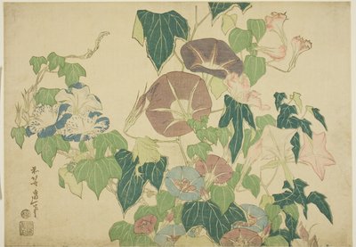 Morgenroosjes en Boomkikker, uit een ongetitelde serie van Grote Bloemen door Katsushika Hokusai