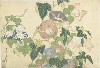 Winde en boomkikker, uit de ongetitelde serie bekend als Grote Bloemen, ca. 1833-34 door Katsushika Hokusai