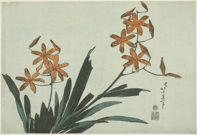Oranje orchideeën, uit een ongetitelde serie bloemen door Katsushika Hokusai