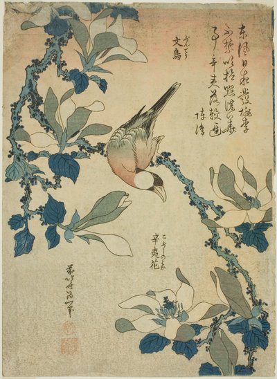 Rijstvogel en magnoliabloemen, uit een ongetitelde serie bloemen en vogels door Katsushika Hokusai