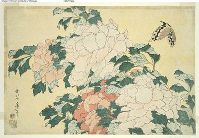 Pioenen en Vlinder, uit een ongetitelde serie van grote bloemen door Katsushika Hokusai