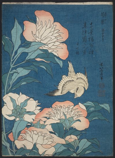 Pioenen en Kanarie (Shakuyaku, kanaari), uit een ongetitelde serie bekend als Kleine Bloemen door Katsushika Hokusai
