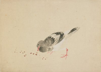 Duif, laat 18e-begin 19e eeuw door Katsushika Hokusai