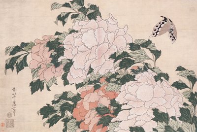 Roze en Rode Pioenen Geblazen naar Links in een Bries en een Vlinder door Katsushika Hokusai