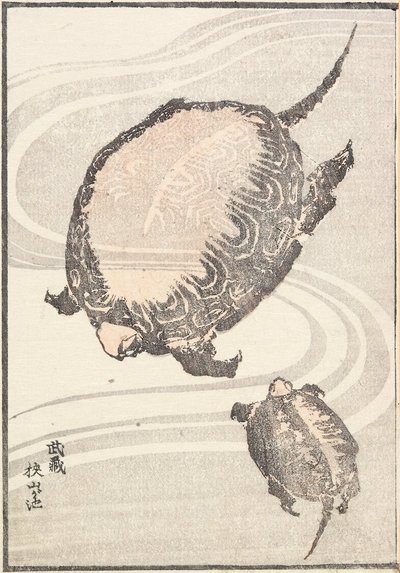 De Sayama-ga-ike-vijver in de provincie Musashi door Katsushika Hokusai
