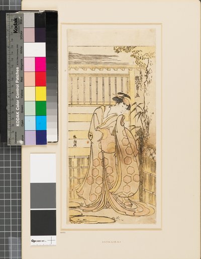 Segawa Kikinojō buiten een huis in de rol van een Hoso-ya courtisane door Katsushika Hokusai