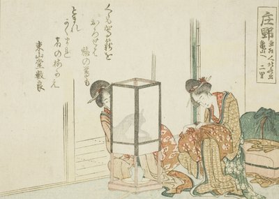Shono, uit een ongetitelde serie van de drieënvijftig stations van de Tokaido door Katsushika Hokusai