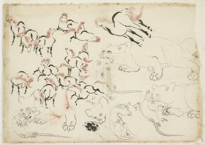 Studies van Paarden, Katten en Ratten (uit "Hokusai Manga") door Katsushika Hokusai