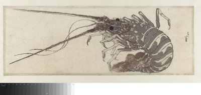 De Kreeft door Katsushika Hokusai