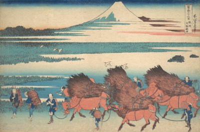 De nieuwe velden bij Ono in de provincie Suruga Sunshu Ono shinden, uit de serie Thir..., ca. 1830-32 door Katsushika Hokusai