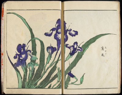 De geest overbrengen en de vorm van de dingen onthullen: Hokusai’s Tuin van Beelden, deel 1, compleet door Katsushika Hokusai