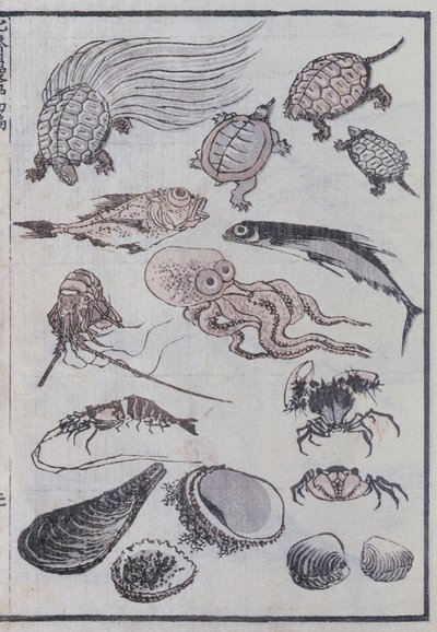 Onderwaterwezens, uit een Manga door Katsushika Hokusai