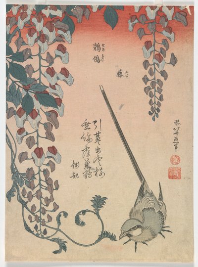 Kwikstaart en Wisteria, Edo-periode door Katsushika Hokusai