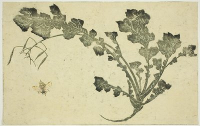 Wesp en raapstengel, uit "Het prentenboek van realistische schilderijen van Hokusai (Hokusai shashin gafu)" door Katsushika Hokusai