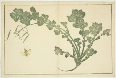 Wesp en raapsteel, uit "Het prentenboek van realistische schilderijen van Hokusai (Hokusai shashin gafu)" door Katsushika Hokusai