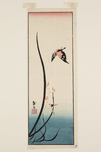 Vlinder en gras door Katsushika II (fl.1820 50) Taito