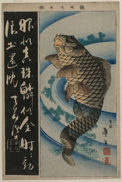 Karper en Waterplanten door Katsushika Taito II
