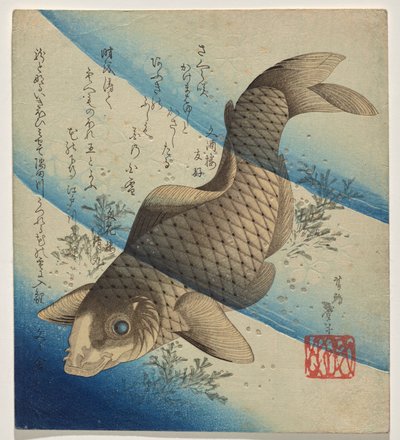 Karpers zwemmen in zeewier door Katsushika Taito II