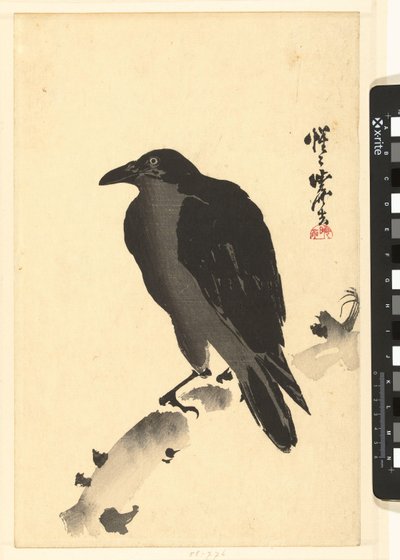 Kraai op een boomstam door Kawanabe Kyosai