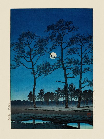 Wintermaan bij Toyamagahara (1931) door Kawase Hasui