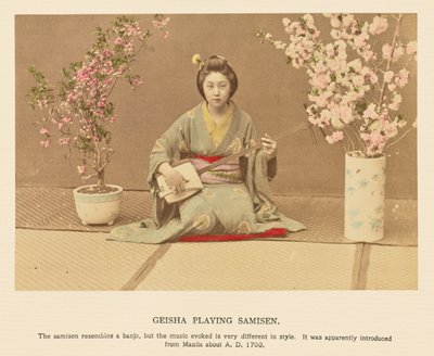Geisha die samisen speelt door Kazumasa Ogawa