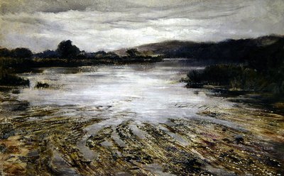 Rivierwier door Keeley Halswelle