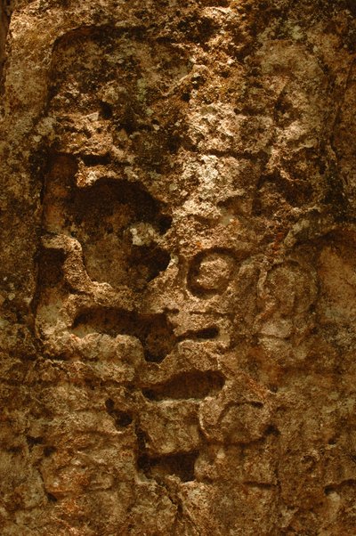 7319 Oxpemul; Maya; Oude Culturen; Maya; Mexico; Maya Biosfeerreservaat; Ivan Spr... door Kenneth Garrett