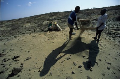 Allia Bay, Kenia; Turkana; Ziften naar fossielen, Alan Walker, Pennsylvania State University door Kenneth Garrett