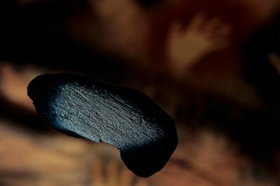 Archeologie; Hominide; Hominin; Menselijke Evolutie - Homo sapiens sapiens; Menselijke Evolutie; IJstijd door Kenneth Garrett