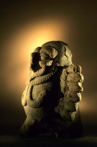 Artefact, Cancuen, Guatemala, Arthur Demarest, Tomas Barrientos, Maya, paleis, Klassieke periode door Kenneth Garrett